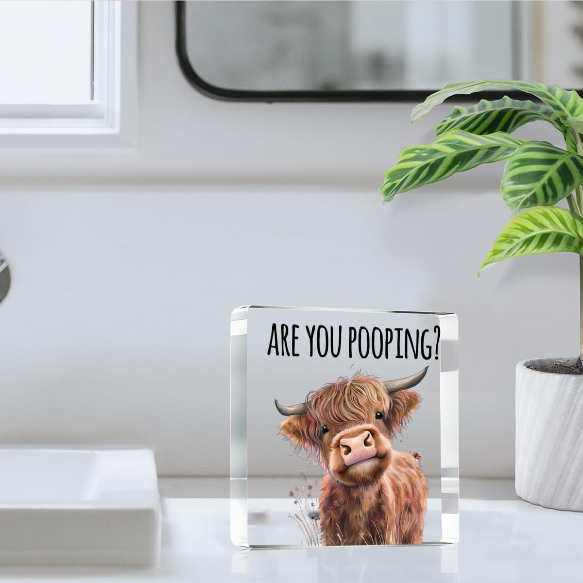 Highland Cow Bathroom Decor Gifts,Are You Pooping Funny Acrylic Sign Bathroom Decor for Western & Highland Cow Lovers Gifts for Coworker, Friends, Boss, Men, Women 4x4 Inch