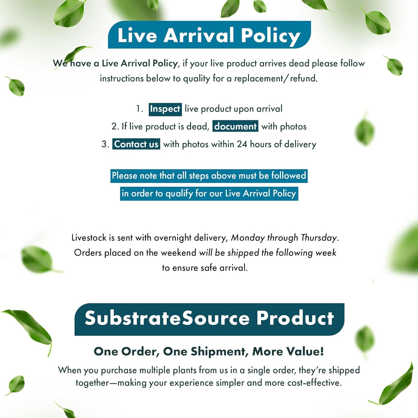 Live Plants - Lagenandra Meeboldii Red (Lagenandra meeboldii) - Moderate to High Light Tank Display, Red to Bronze Accent, Midground Placement, Freshwater Aquatic Plant - Pot