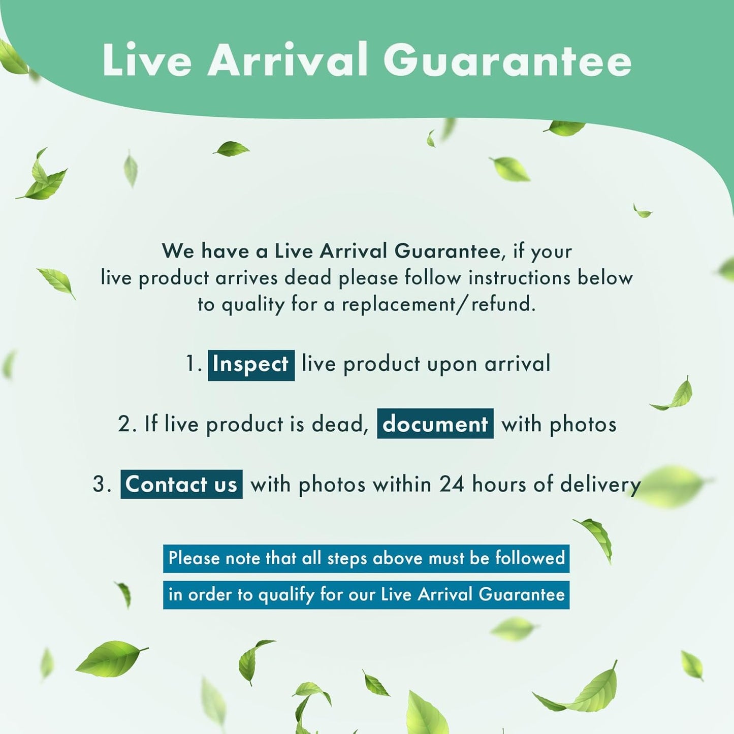 Live Aquarium Plants on Driftwood, Lava Rock, Moss Mat - Freshwater Fish Tank Plants (Christmas Moss, Driftwood (Medium))