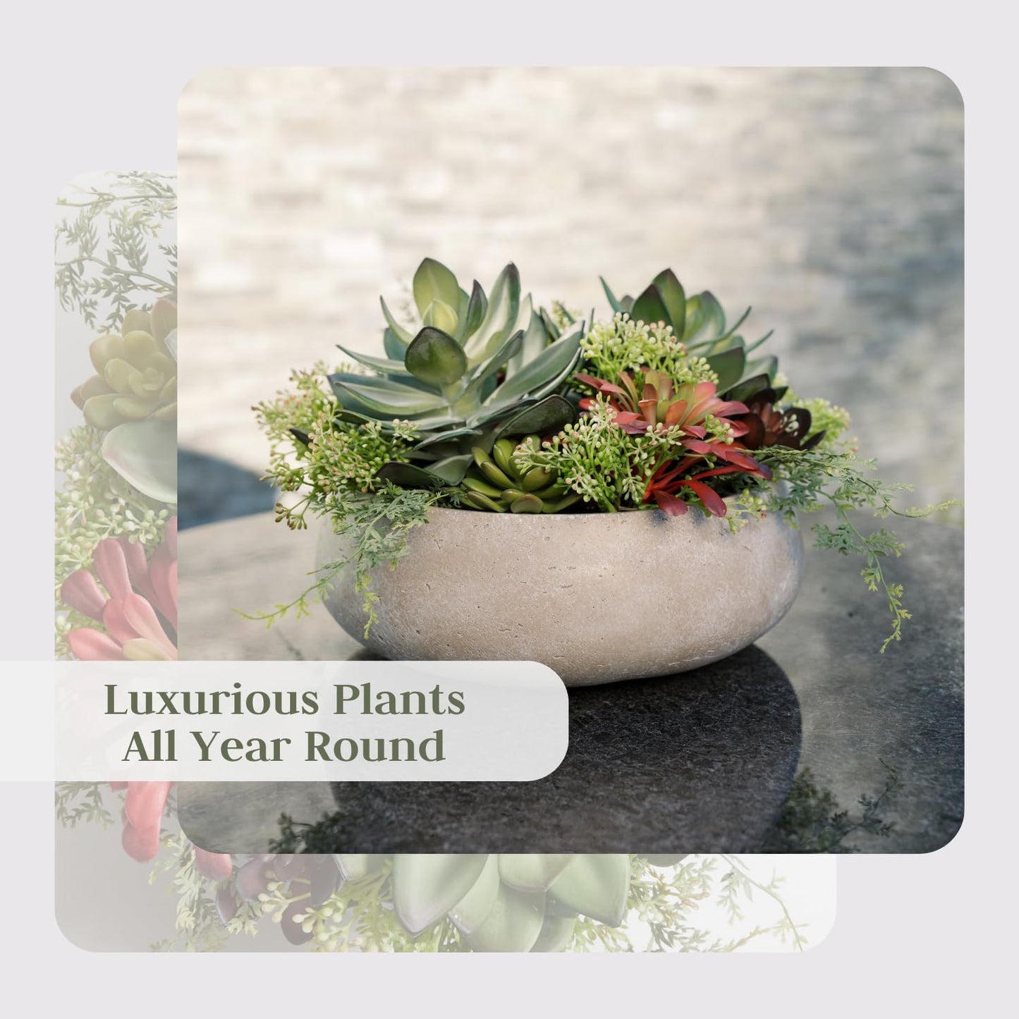 Round Faux Succulent Arrangement, 14" Premium Artificial Indoor Plant Enhances Interior Design, Display on Any Surface in Your Home Adding an Inviting Touch of Nature, Natural Planter Pot Included