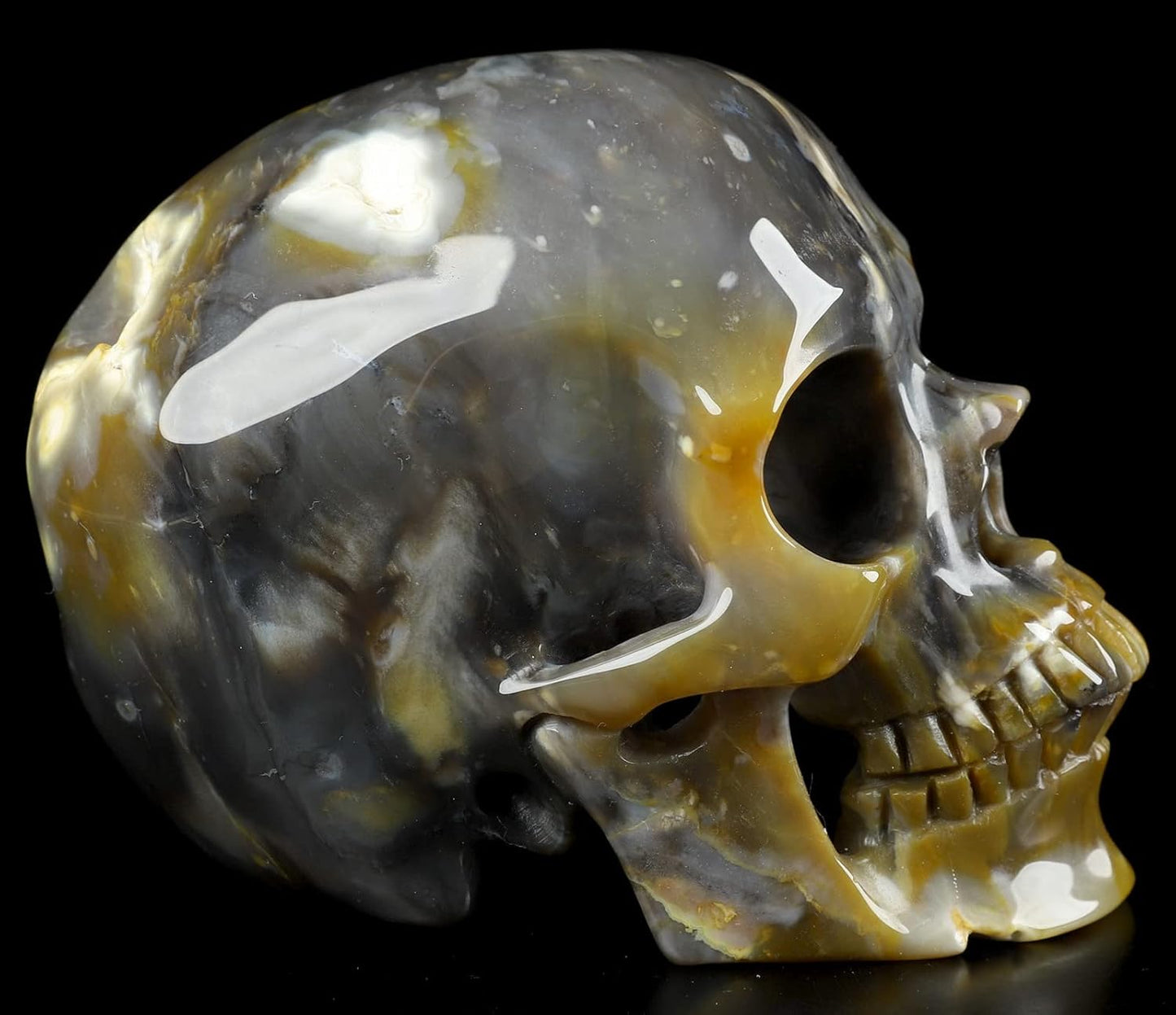 Skullis 5.0" African Petrified Wood Super Realistic Crystal Carved Crystal Skull. Hand Carved Gemstone Fine Art Sculpture.2261 Z8