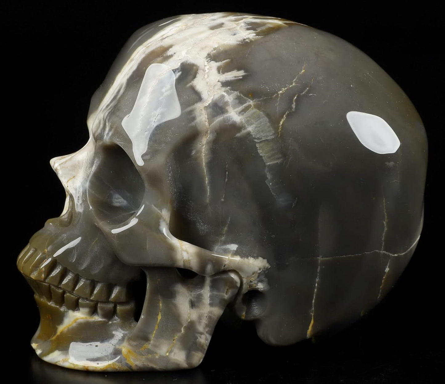 Skullis 5.0" African Petrified Wood Super Realistic Crystal Carved Crystal Skull. Hand Carved Gemstone Fine Art Sculpture.2260 Z8