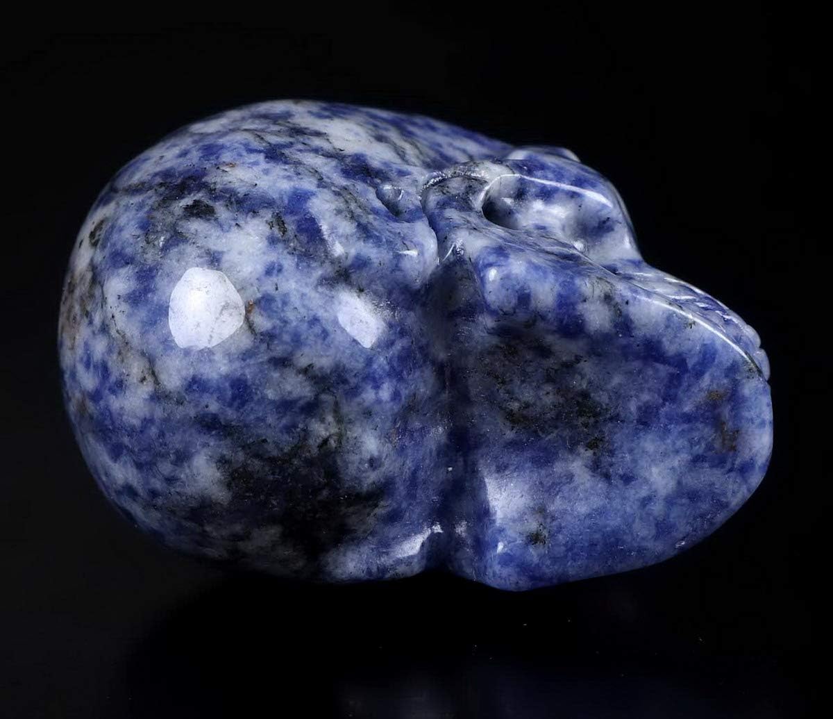 Skullis 2.0" Blue Speckled Sodalite Crystal Skull, Hand Carved Gemstone Fine Art Sculpture, Reiki Healing Stone Statue.