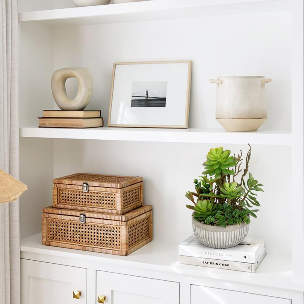 DILATATA Small Faux Plant Assorted Fake Succulents Plants Faux Succulents Arrangement Cement Potted Desk Plants Small Fake Plants for Home Table Office Bathroom Shelf Living Room Decor