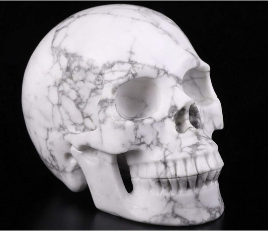 Skullis 5.0" Howlite Crystal Skull, Hand Carved Gemstone Fine Art Sculpture, Reiki Healing Stone Statue.