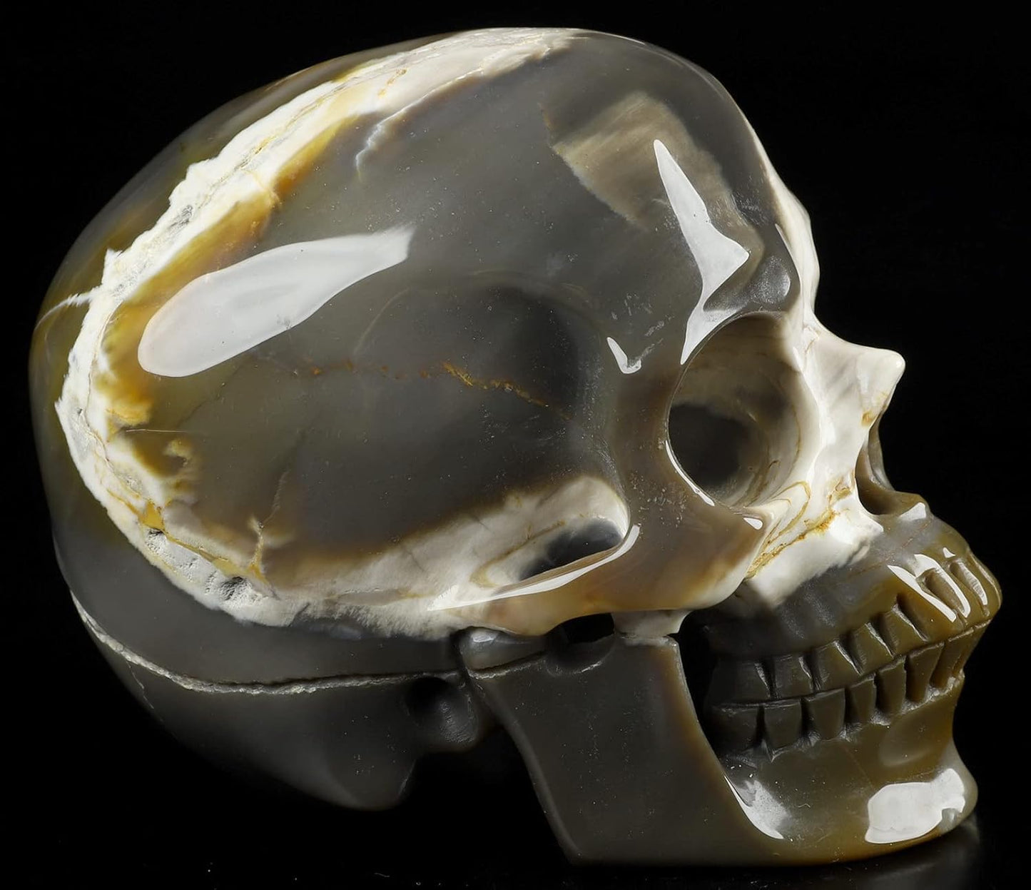 Skullis 5.0" African Petrified Wood Super Realistic Crystal Carved Crystal Skull. Hand Carved Gemstone Fine Art Sculpture.2260 Z8