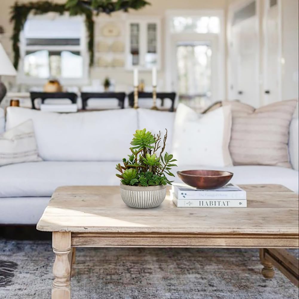 DILATATA Small Faux Plant Assorted Fake Succulents Plants Faux Succulents Arrangement Cement Potted Desk Plants Small Fake Plants for Home Table Office Bathroom Shelf Living Room Decor