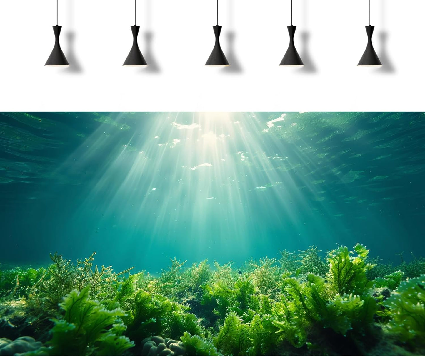 Deep Ocean Fish Tank Background Under The Sea Aquatic Plants Aquarium Background Underwater Corals Sunray Terrarium Backgrounds Tropical Fish Ocean World Aquarium Backgrounds Decorations 60x24in