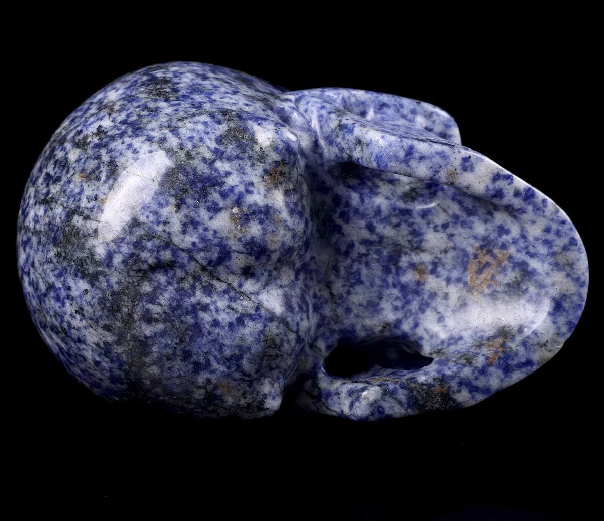 Skullis 5.0" Blue Speckled Sodalite Crystal Skull, Hand Carved Gemstone Fine Art Sculpture, Reiki Healing Stone Statue. z8