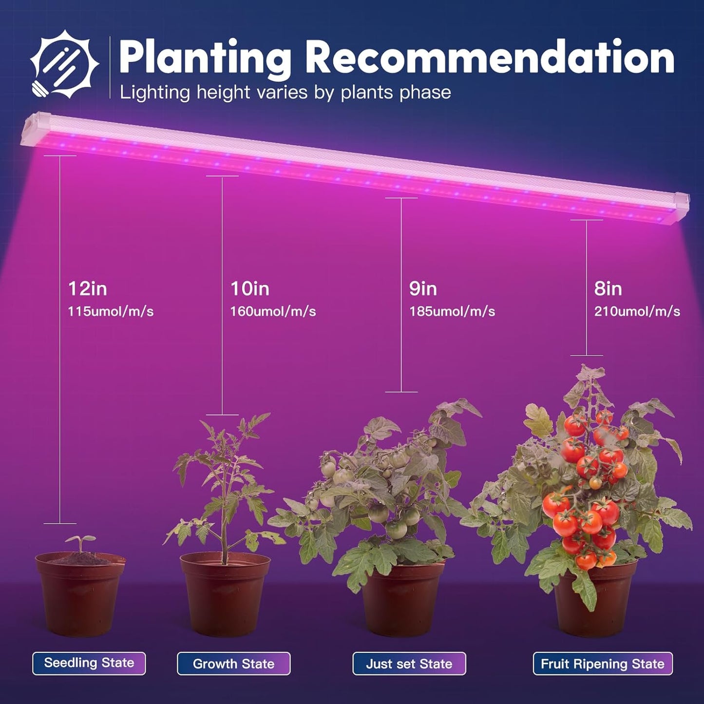 FREELICHT 2 Pack 4FT LED Grow Light, 40W (250W Equivalent), Red Blue (660nm+460nm) Full Spectrum Grow Light for Indoor Plants, Linkable Plug in Plant Growing Lamps for Hydroponic Seeding Veg Flower