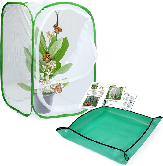 Butterfly Habitat with Poo Platter, Cage with Poo Mat, Monarch Butterfly Cage 24 Inches Tall