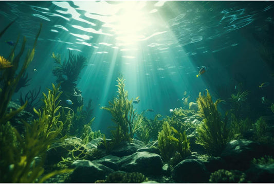 Ocean Aquarium Background Aquatic Plants with Rocks Terrarium Backdrop Sunlight Rays Deep Sea Fish Tank Background Aquarium Wallpaper Poster Decor Vinyl 36x20in