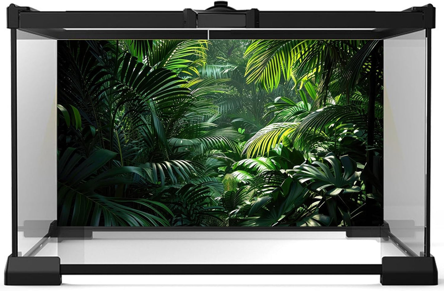 Aquarium Background Enchanting Beauty of Jungle Terrarium Backdrop Nature Jungle Green Leaf Palms Fish Tank Background Reptile Habitat Backdrop Wallpaper Poster Decor Vinyl 30x18in