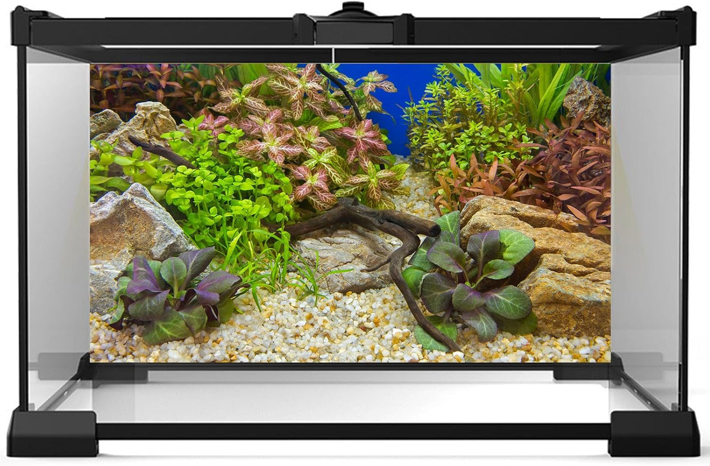 Aquarium Background Various Underwater Grass Plants Pebble Aquarium Backdrop Vivid and Fresh Green Aquatic Plants Stone River Bed and Dead Wood Purple Leaves Tank Background Vinyl 36x20in