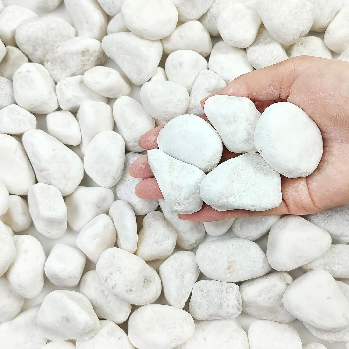 10 lbs White Gravel for Landscaping, 1-2 Inch Pebbles for Indoor Plants, Decorative River Rocks for Succulent, Vases, Aquariums, Crafting and Garden
