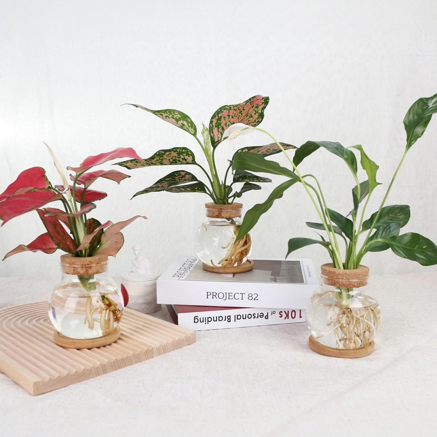 Plant Propagation Station,Hydroponic Glass Container Vase Jars, with Wooden Saucer for Desks, Houses, Garden Decorations, Home Kitchen Decorations and Gifts for Plant Lovers (4)