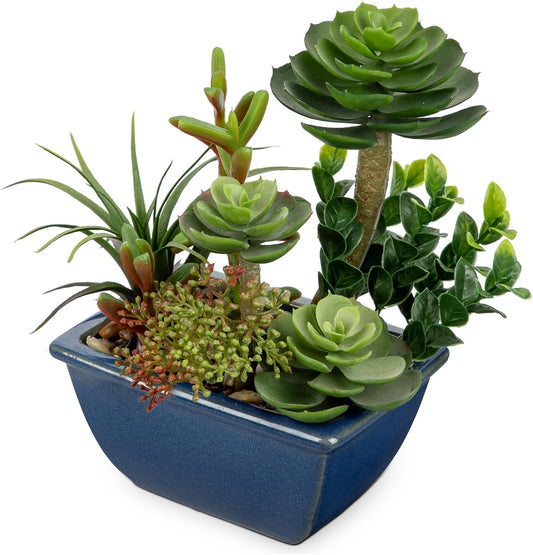 Small Faux Plant Assorted Fake Succulents Plants with Glazed Ceramic Pot Faux Succulents Arrangement Cement Potted Desk Plants Small Fake Plants for Home Table Office Bathroom Shelf Living Room Decor