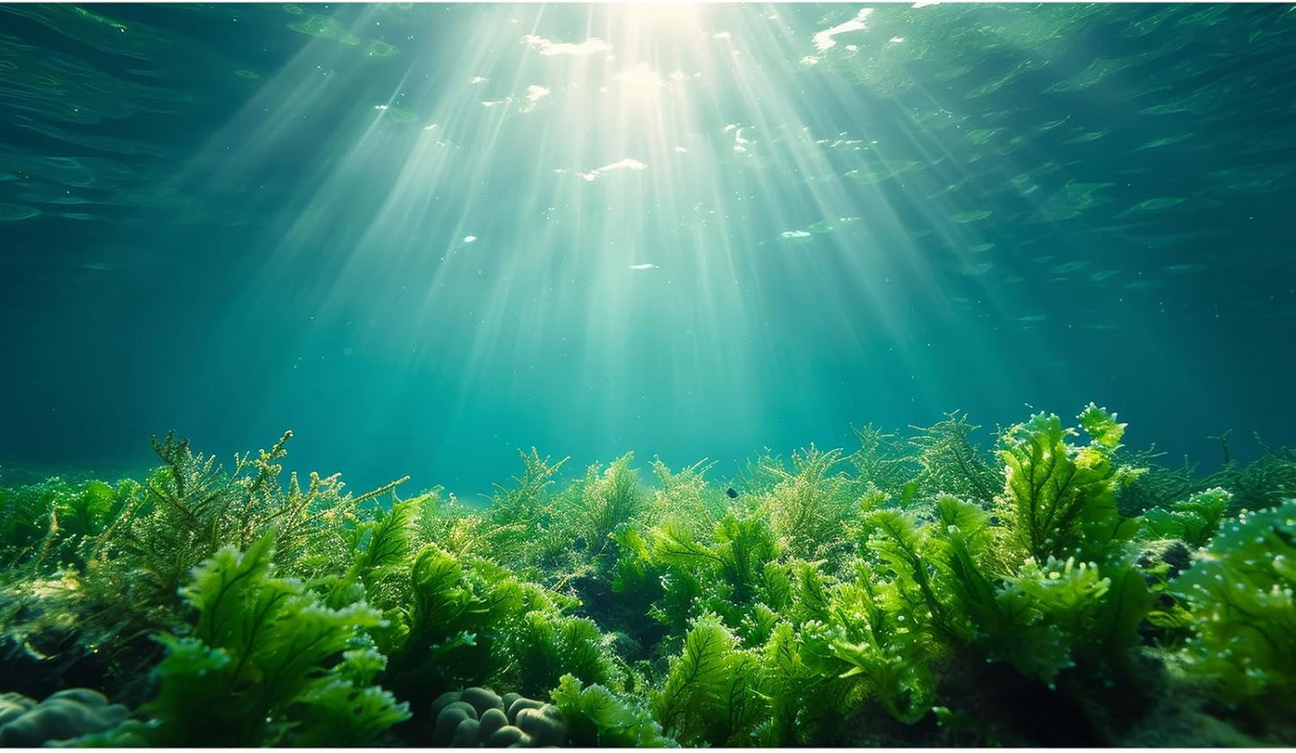 Deep Ocean Fish Tank Background Under The Sea Aquatic Plants Aquarium Background Underwater Corals Sunray Terrarium Backgrounds Tropical Fish Ocean World Aquarium Backgrounds Decorations 30x18in