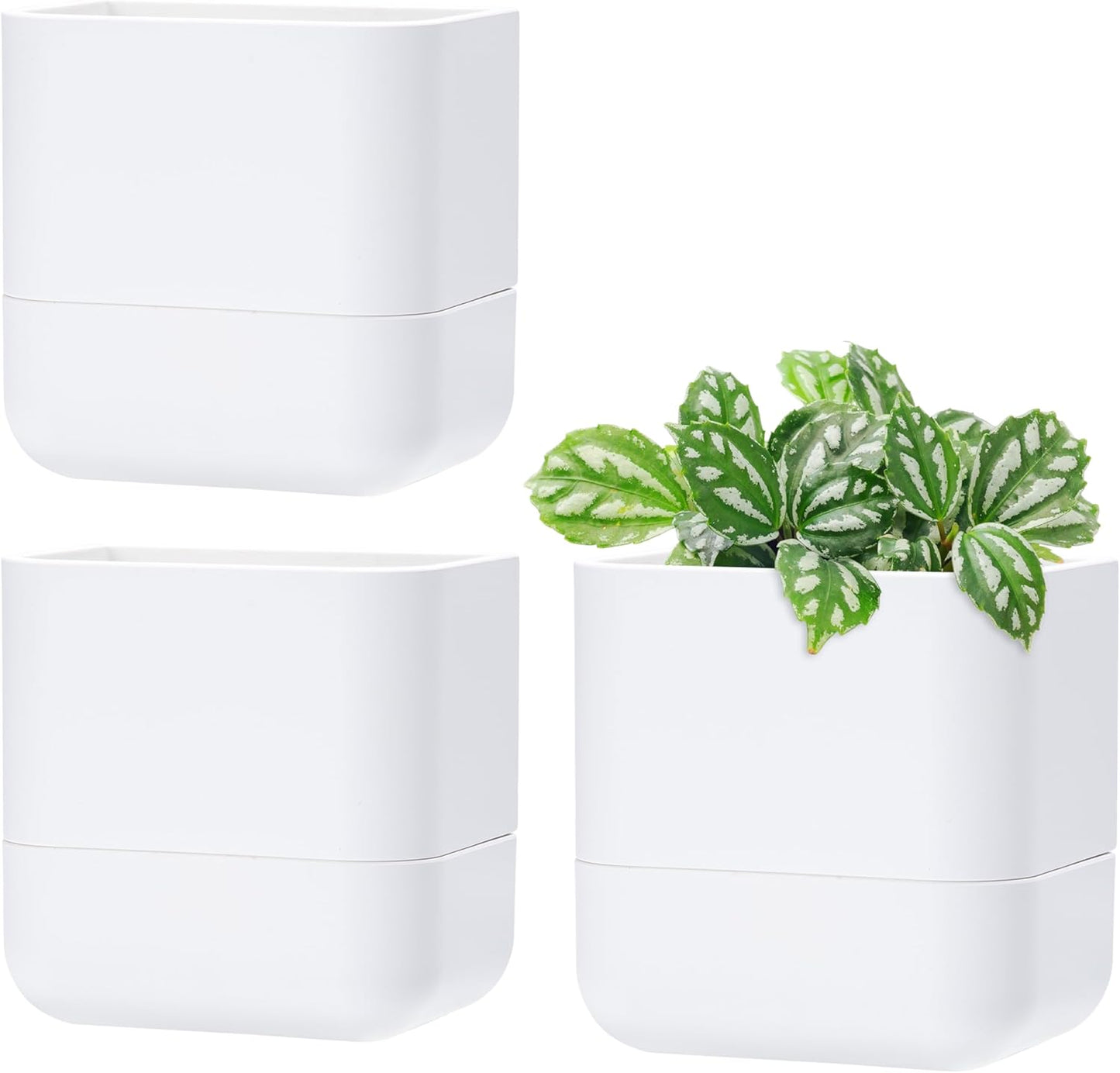 Phoenix Vine 6.5-Inch Wall Mounted Self-Watering Planter Pot for Indoor Houseplants and Herbs | Modern Hanging Planter for Window Sills, Bathroom Walls, Home & Office Décor, White, Set of 3, 01-WP-W-3