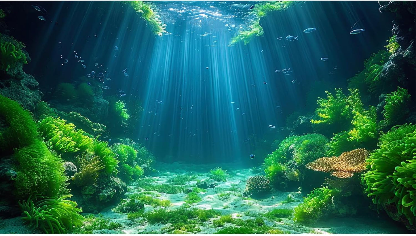 Aquarium Background Aquatic Plants Soft Algae Terrarium Backdrop Underwater World Fish Rock with Moss Sunlight Rays Fish Tank Background Aquarium Wallpaper Poster Decor Vinyl 72x24in