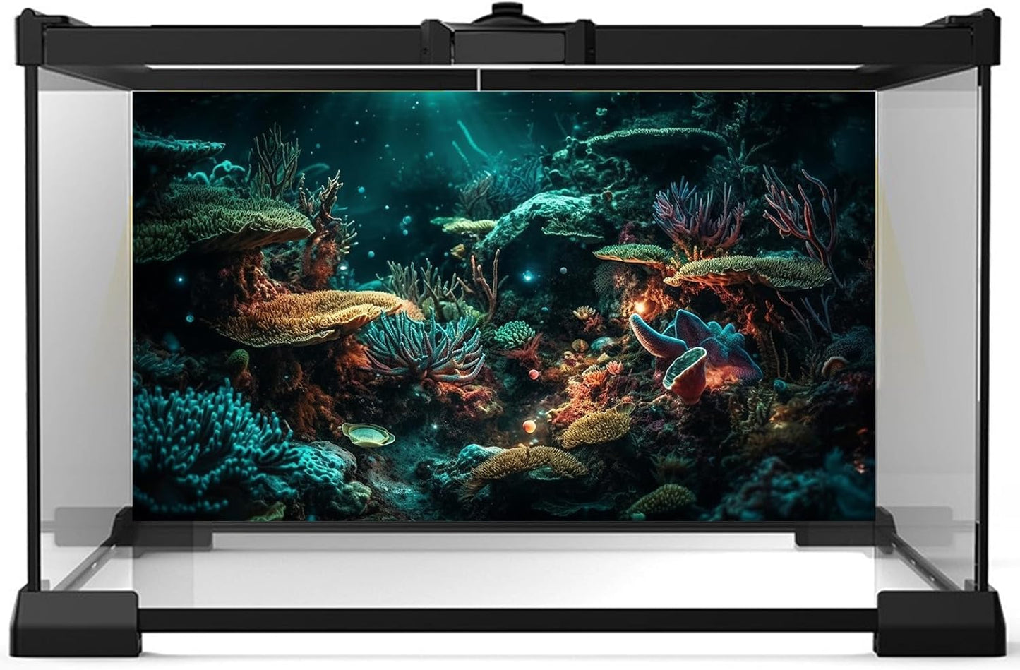 Aquarium Background Colorful Picturesque Coral Reef Terrarium Background Tropical Sea Various Hard Corals Underwater Landscape Fish Tank Backdrop Aquarium Poster Background Vinyl 72x24in
