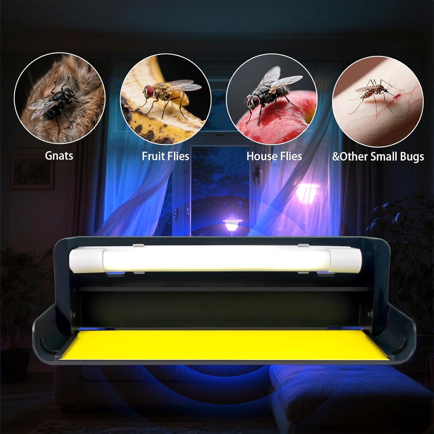 UV Fly Light Trap Indoor for Home Gnat Traps for House, Wall Sconce Fly Light Bug Catcher for Kitchen House & Restaurant Fruit Flies Garage & Warehouse with 5 Sticky Glue Boards 6.5 ft Cord