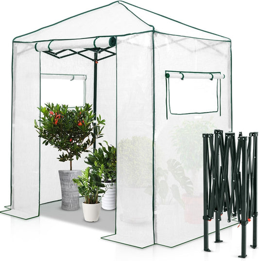 EAGLE PEAK Instant Pop-up Greenhouse, Indoor Outdoor Plant Gardening Green House, Roll-Up Zipper Doors and Side Windows, Walk in 6x4 ft, PE Cover, White/Clear