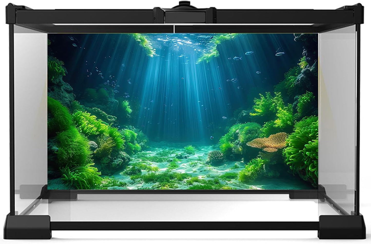 Aquarium Background Aquatic Plants Soft Algae Terrarium Backdrop Underwater World Fish Rock with Moss Sunlight Rays Fish Tank Background Aquarium Wallpaper Poster Decor Vinyl 24x16in