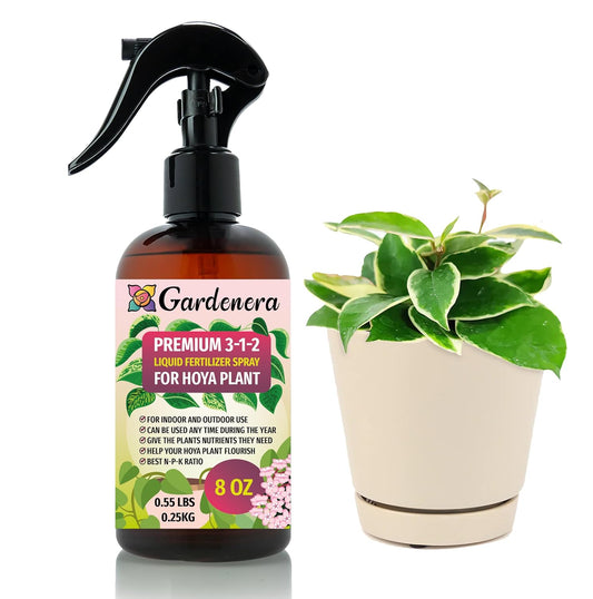 Professional Hoya Spray Fertilizer Mist for Home Gardening | 3-1-2 Gentle Blend Mist for Healthy Leaves & Growth | Essential Nutrients for Hoya Plants - 8oz