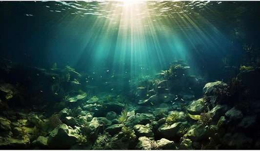 Deep Ocean Aquarium Background Under The Sea Fish Tank Background Underwater World Terrarium Backgrounds Ocean Floor Rock Aquatic Plants Aquarium Backdrop for Fish Tank Backgrounds Decors 48x20in