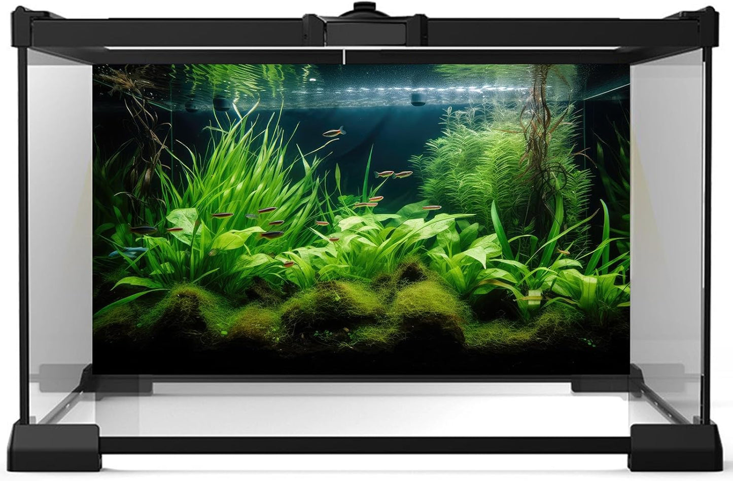 Aquarium Background Diverse Aquatic Plants Seagrasses Terrarium Background Redwood Root Lush Green Underwater Plants Tropical Style Fish Tank Background Under The Sea Aquarium Backdrop Vinyl 72x18in