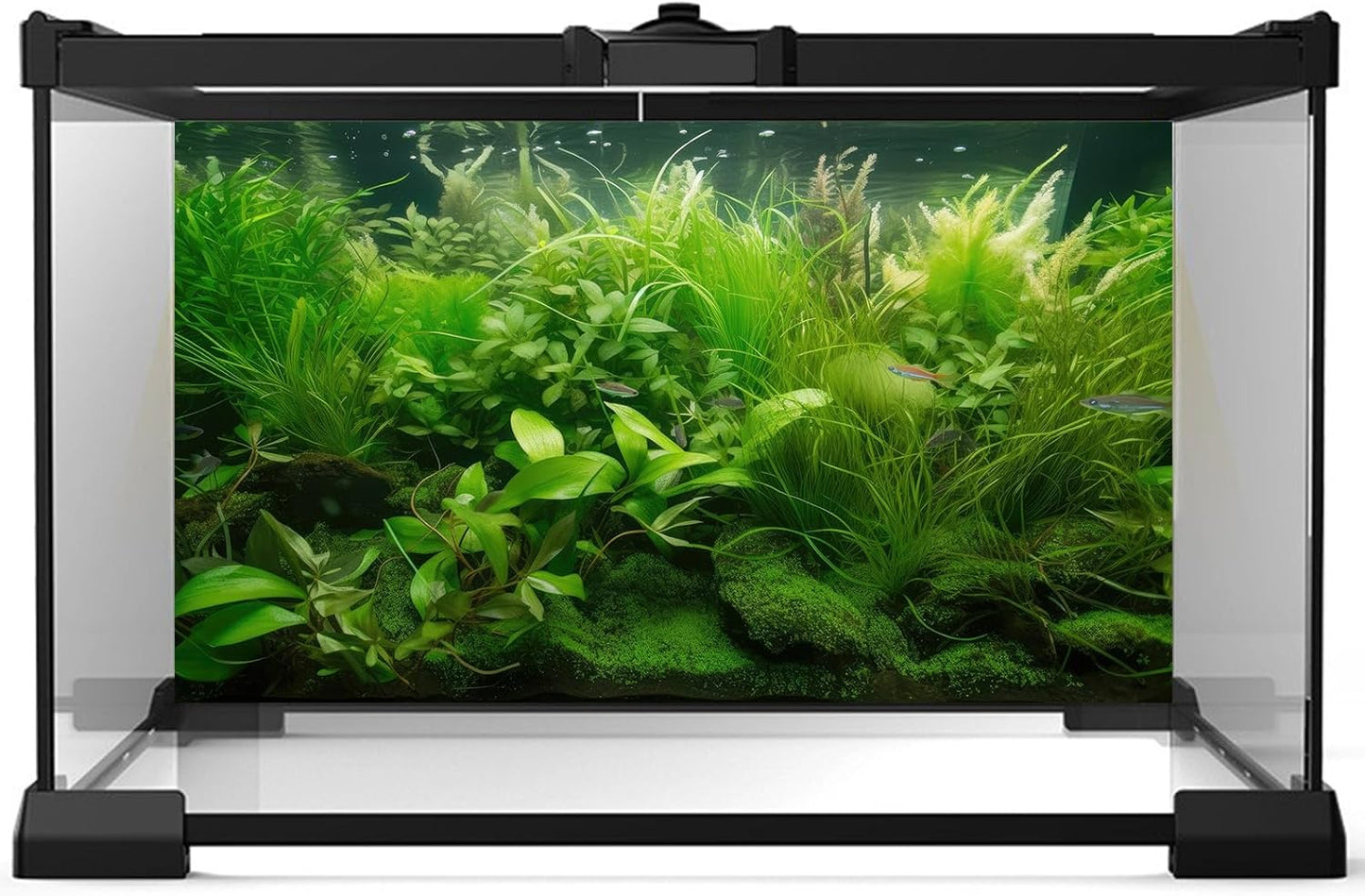 Aquarium Background Diverse Collection of Aquatic Plants Seagrasses Terrarium Background Redwood Root Moss Tropical Style Underwater Lush Green Plants Fish Tank Background Wallpaper Poster 60x24in