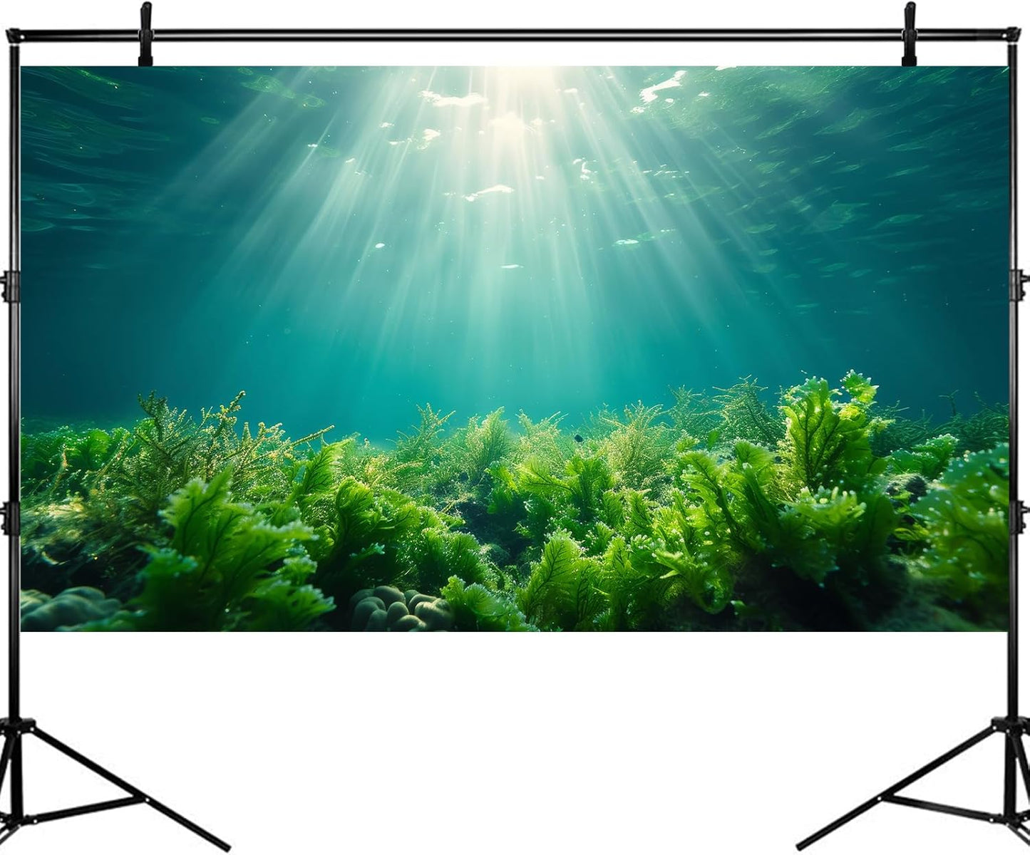 Deep Ocean Fish Tank Background Under The Sea Aquatic Plants Aquarium Background Underwater Corals Sunray Terrarium Backgrounds Tropical Fish Ocean World Aquarium Backgrounds Decorations 72x16in