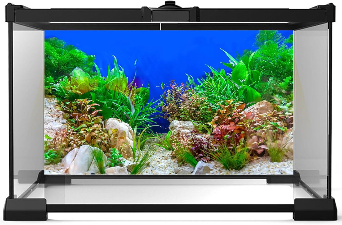 Aquarium Background Green Aquatic Plant Stone River Bed and Lake Fish Tank Background Decor Underwater Grass Leaves with Pebble Aquarium Backdrop Perfect Fish Tank Decors Vinyl 48x24in