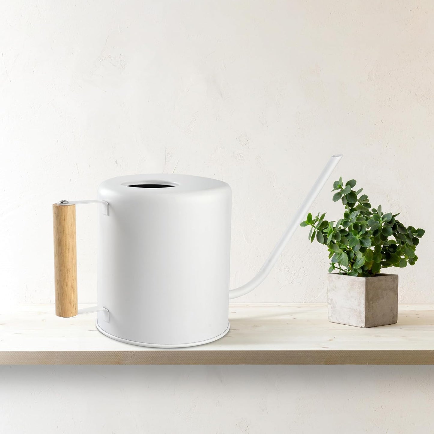 1.5 Liter Watering Can for Indoor Plants, House Plants, Flower Watering, Outdoor Plants - Small Metal Watering Can with Long Spout (White)