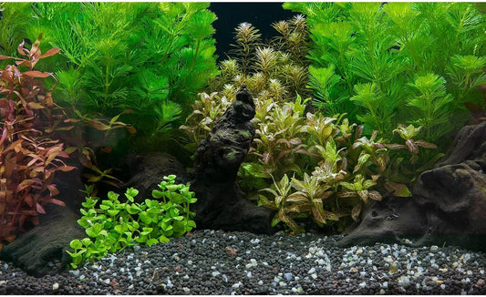 Aquarium Background Exquisite Underwater Grass Leaves with Pebbles Aquarium Backdrop Vivid Green Aquatic Plant Stone with Dead Woods and Fresh Leaves Fish Tank Wallpaper 72x16in