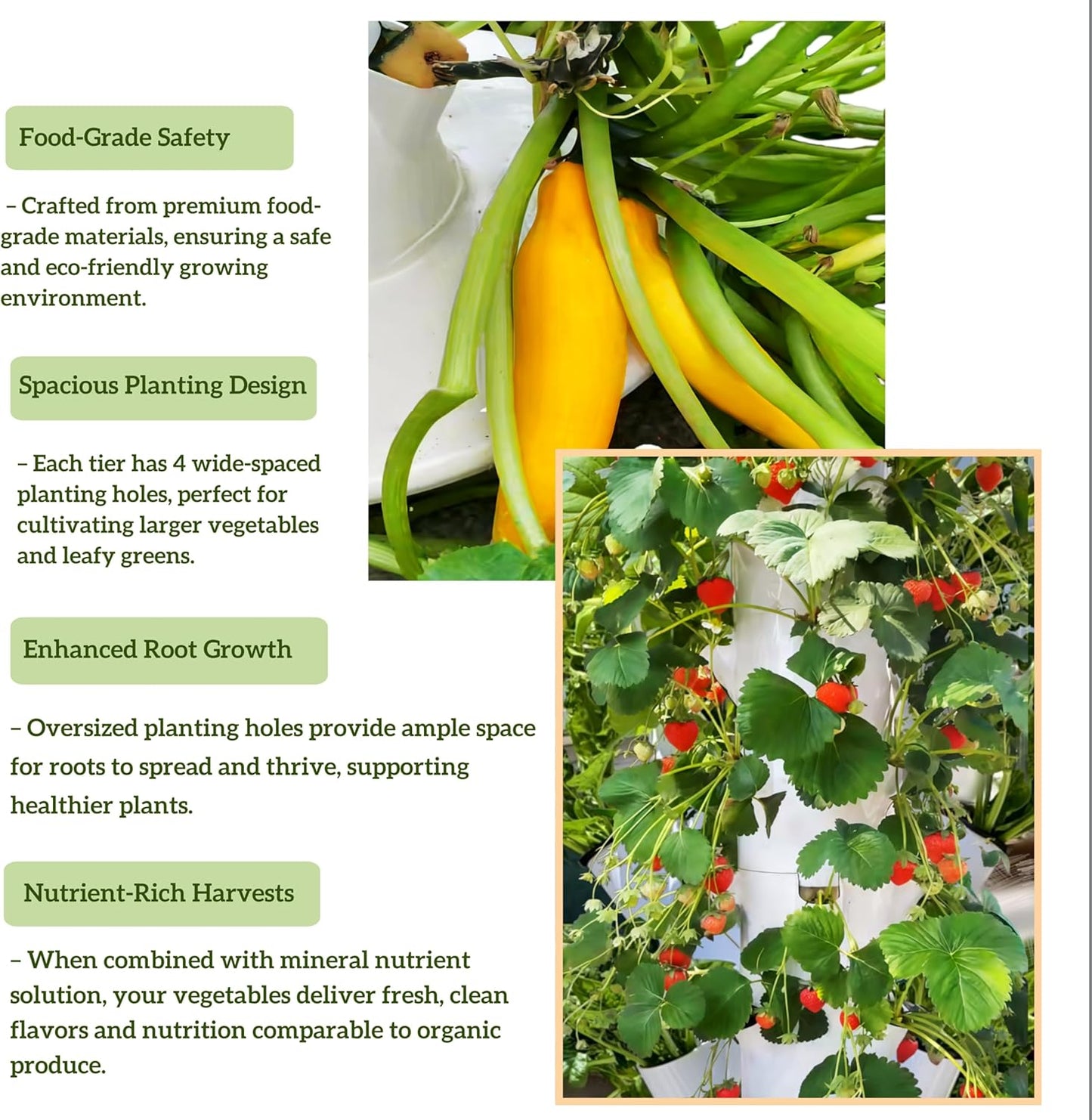 Hydroponic Growing System Kit, Vertical Hydroponic Tower with Trellis, Indoor & Outdoor Herb Garden, Vegetable Tower with 40 Planting Pods, Automatic Timer, Ideal for Gardeners & Beginners