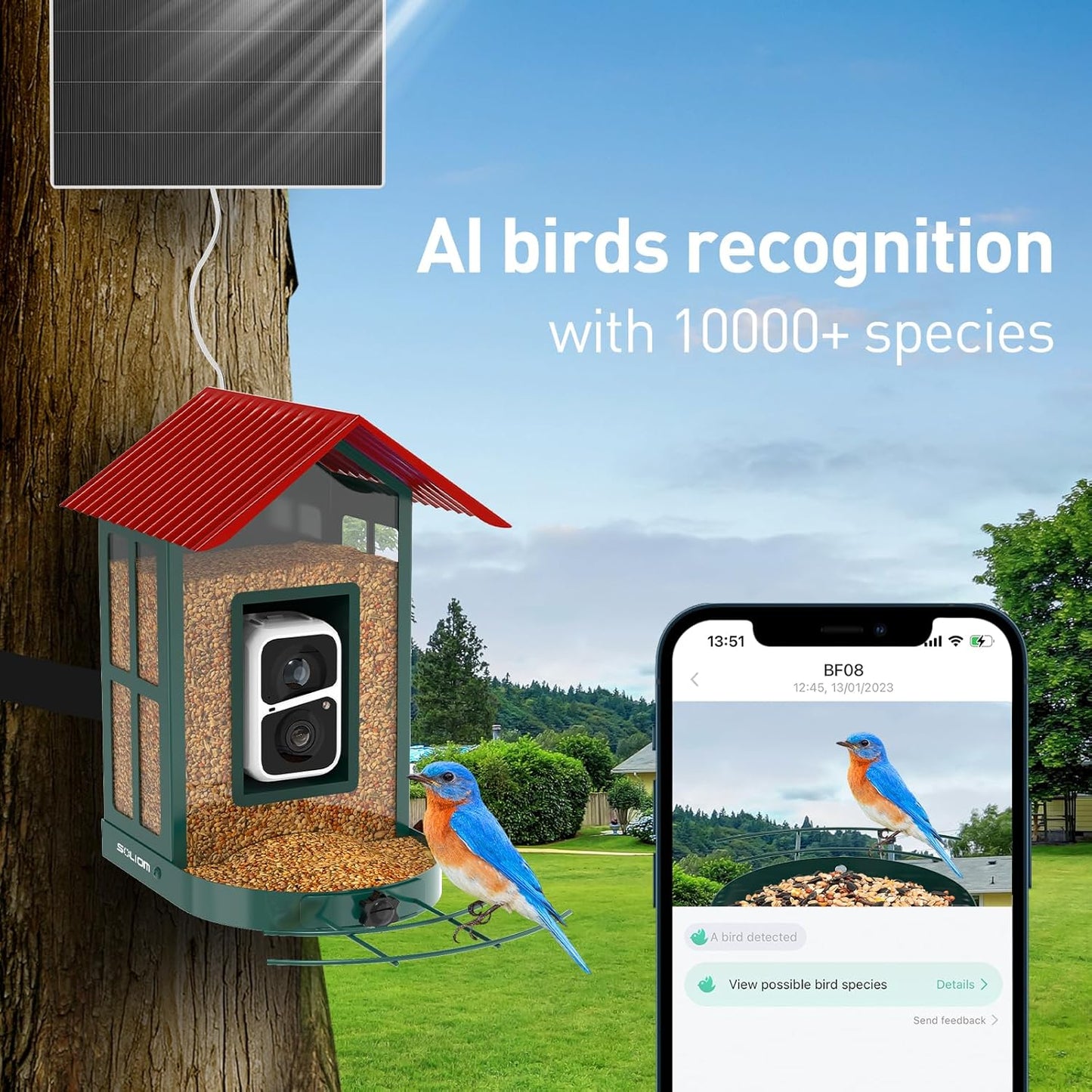 SOLIOM Solar Bird Feeder with Camera for Outdoors - AI Smart Birdhouse, 2K Live View & Instant Alerts, Squirrel Proof - Perfect Bird Watching Gift (Red)