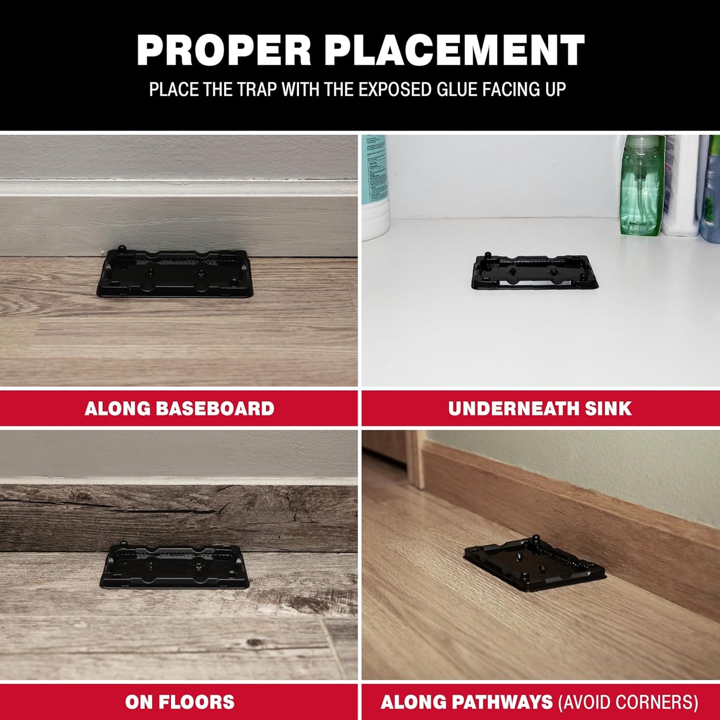 Catchmaster Mouse & Insect Glue Traps 40-Pk, Adhesive Rodent & Bug Catcher, Mouse Traps Indoor for Home, Sticky Glue Boards for Mice and Insects, Pest Control for House & Garage