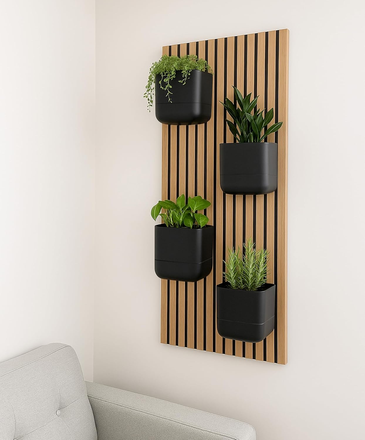 Phoenix Vine 6.5-Inch Wall Mounted Self-Watering Planter Pot for Indoor Houseplants and Herbs | Modern Hanging Planter for Window Sills, Bathroom Walls, Home & Office Décor, Black, Set of 3, 01-WP-B-3