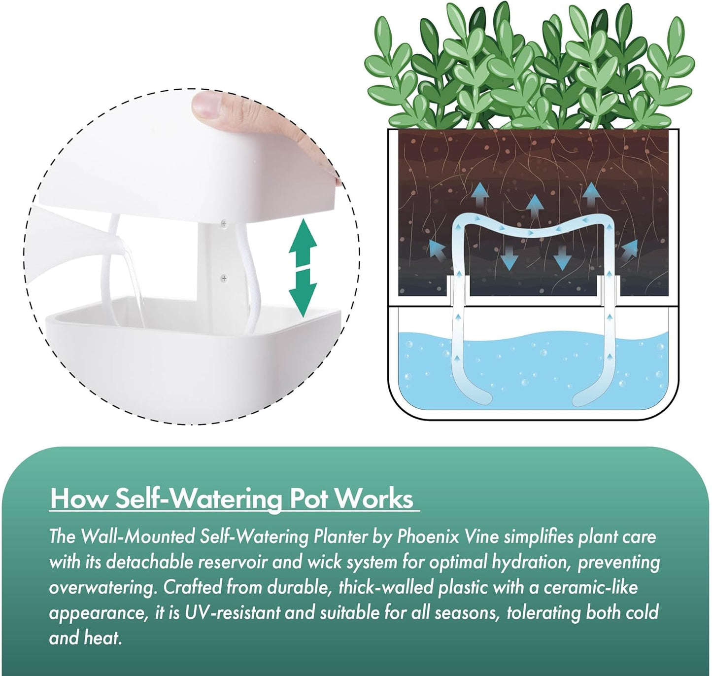 Phoenix Vine 6.5-Inch Wall Mounted Self-Watering Planter Pot for Indoor Houseplants and Herbs | Modern Hanging Planter for Window Sills, Bathroom Walls, Home & Office Décor, White, Set of 3, 01-WP-W-3