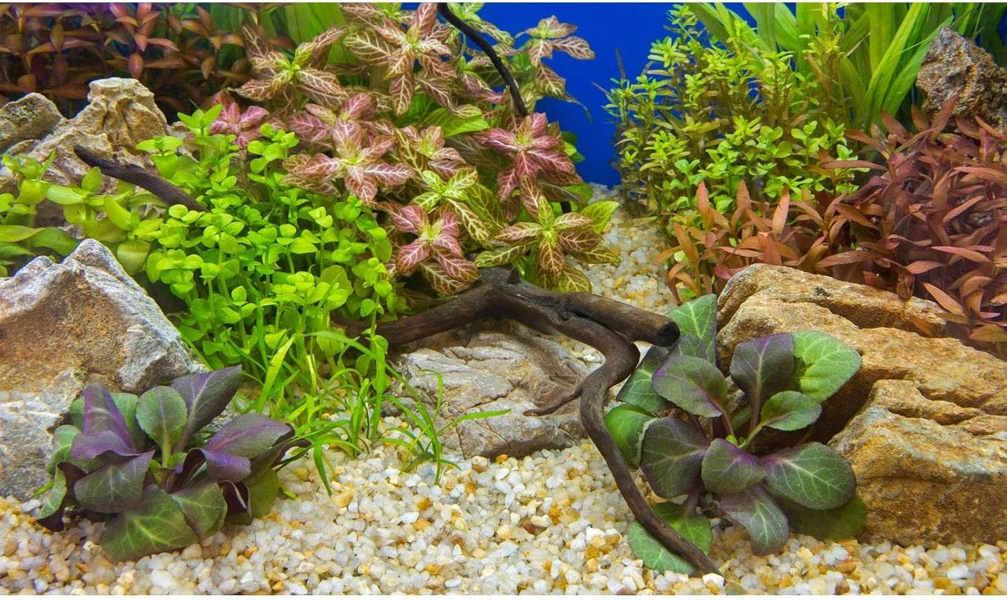 Aquarium Background Various Underwater Grass Plants Pebble Aquarium Backdrop Vivid and Fresh Green Aquatic Plants Stone River Bed and Dead Wood Purple Leaves Tank Background Vinyl 24x16in