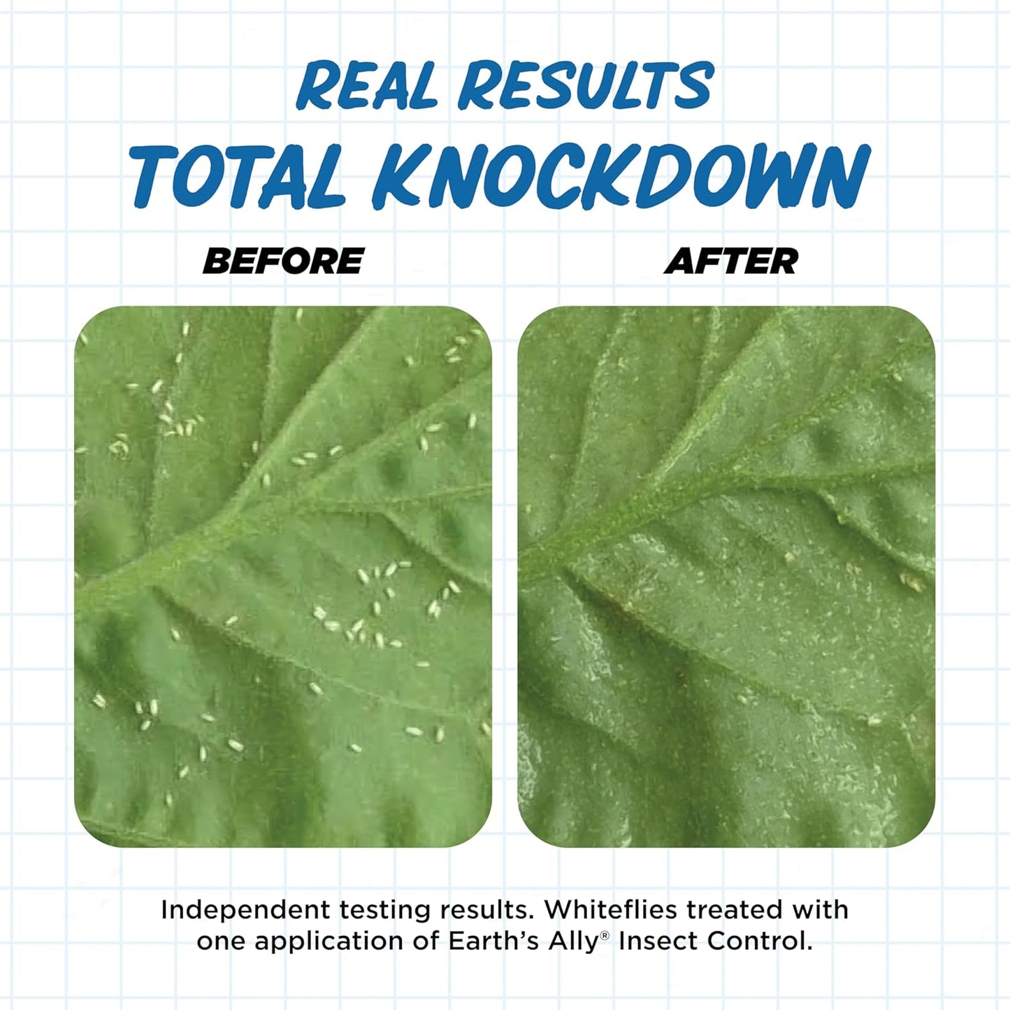 Earth's Ally Insect Control for Plants Ready-to-Use 24 oz | Safe Outdoor & Indoor Plant Insecticide, Spider Mite, Aphid & Mealybug Killer - Effective Spray for Organic Garden & Household Plants