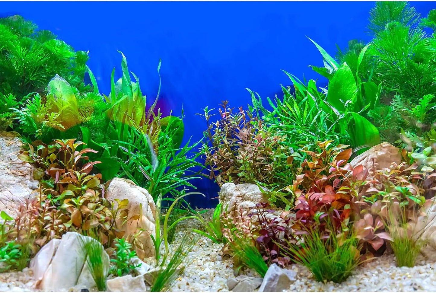 Aquarium Background Green Aquatic Plant Stone River Bed Fish Tank Background Underwater Grass Leaves Pebbles Terrarium Background Perfect Fish Tank Wallpaper Poster Decors 30x12in