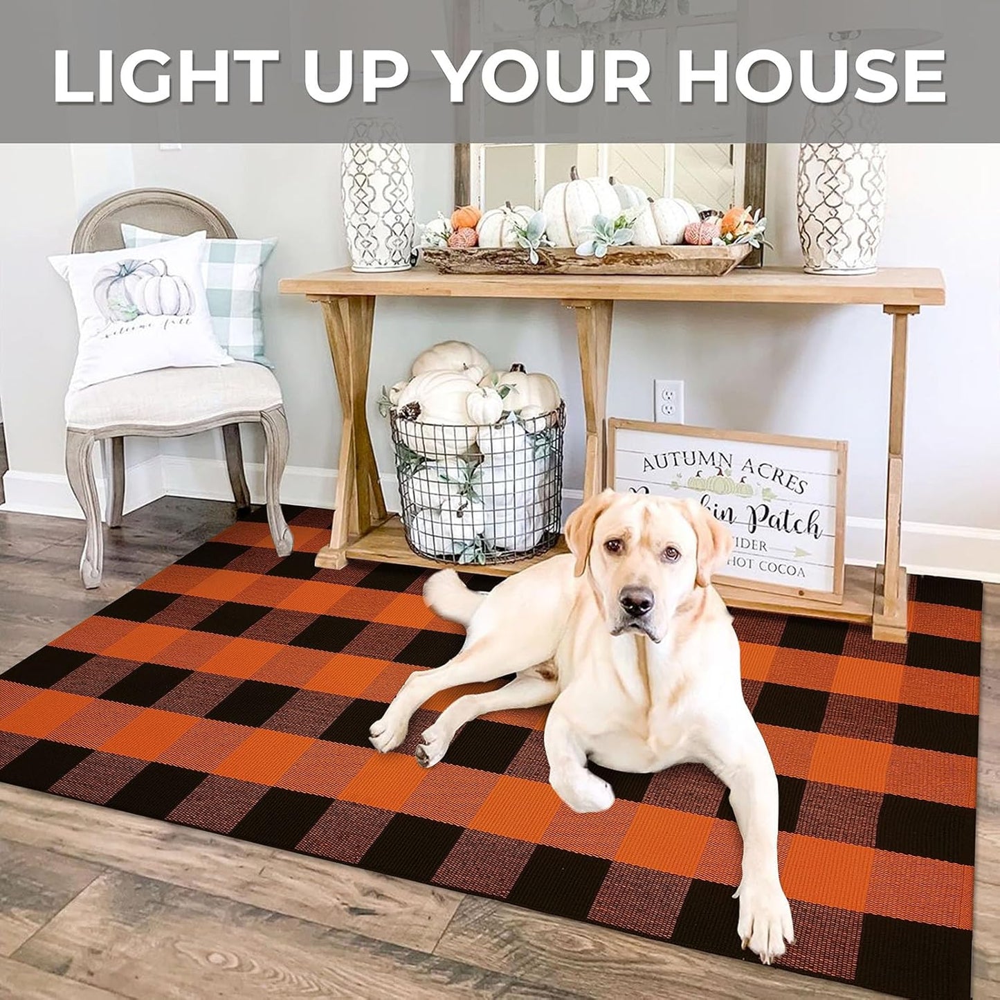 IOHOUZE Fall Buffalo Plaid Check Rug Outdoor Doormat 3x5 Ft Washable Woven Outdoor Indoor Welcome Mats for Front Door/Farmhouse/Entryway/Home Entrance Black and Orange Outdoor Rug