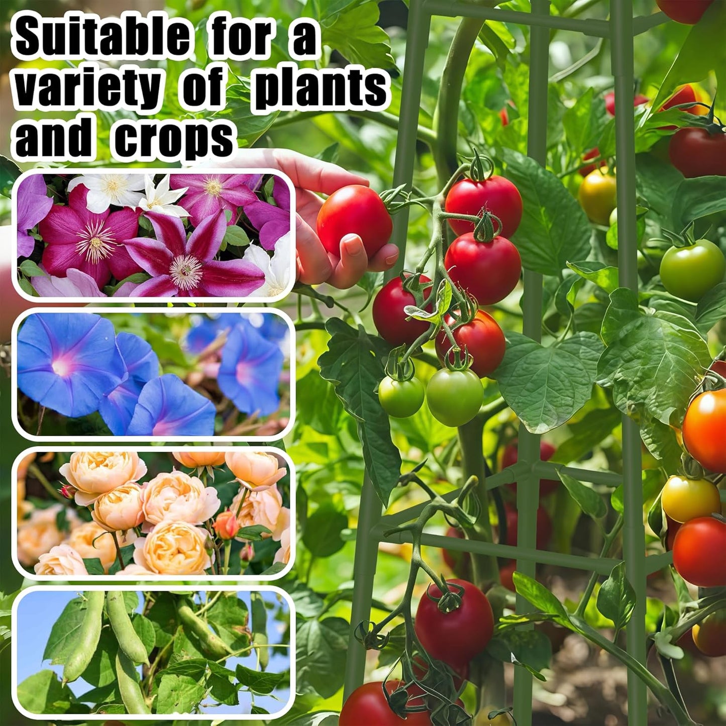 6FT Obelisk Trellis for Climbing Plants Outdoor, 16mm Rust-Proof Extra Thickened Plastic-Coated Metal Pipes, Indoor Climbing Support for Potted Plants, Vines, Flowers Stands,Green