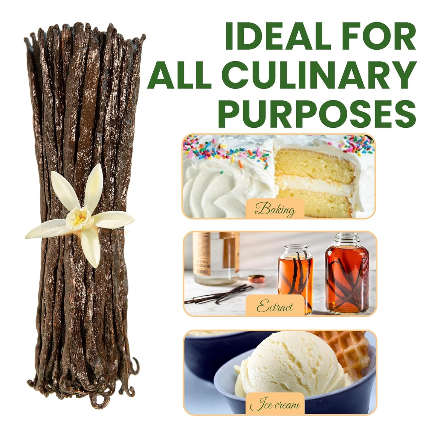 10 Count Organic Madagascar Vanilla Beans – Grade A Bourbon Pods | Gourmet Whole Vanilla Beans for Baking, Cooking, Extract Making | Rich Aroma, Premium Flavor, Non-GMO, Vegan