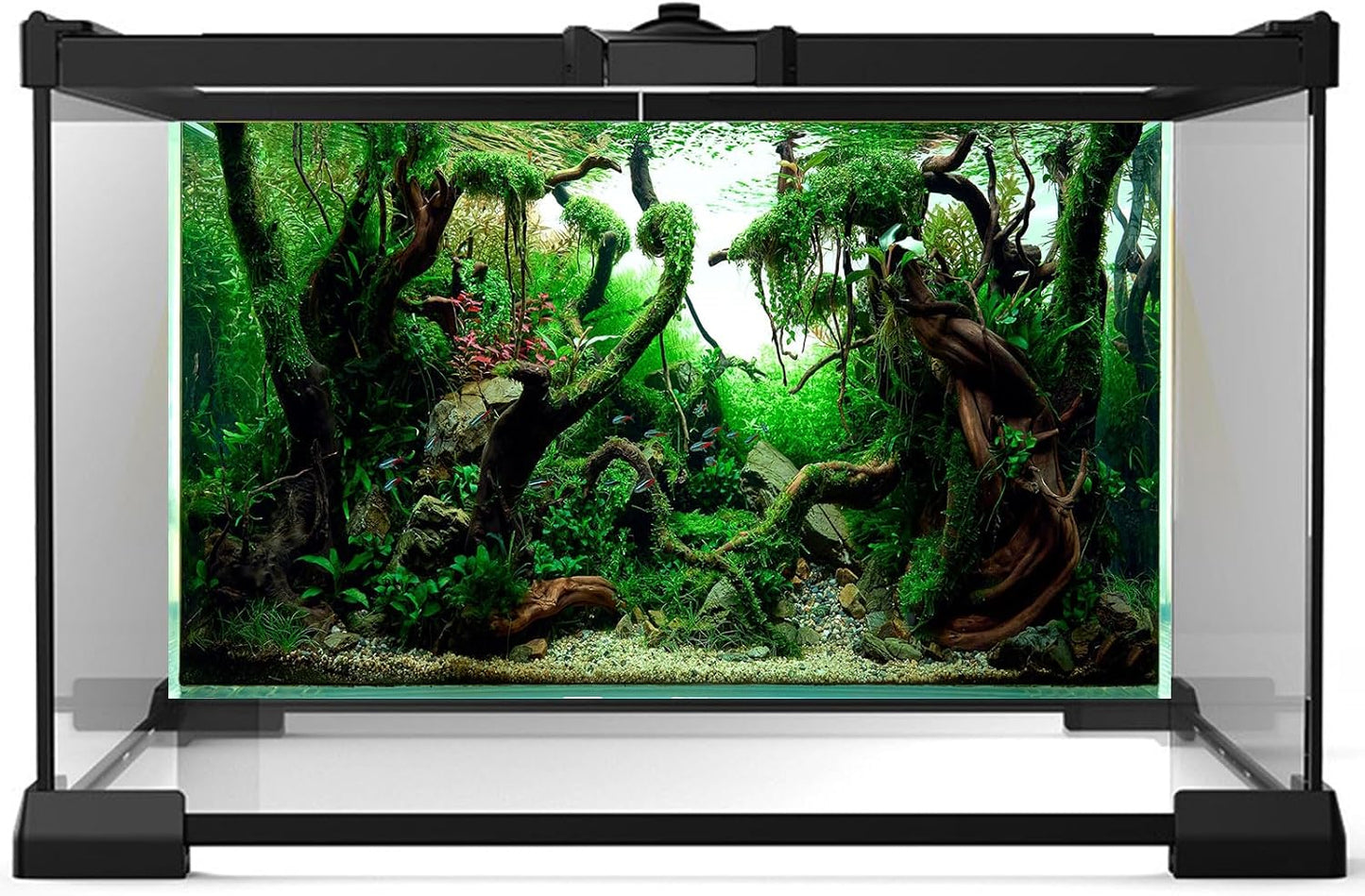 Aquarium Background Underwater Pebble Grass Leaves Aquarium Backdrop Vivid Fresh Green Aquatic Plant Stone River Bed Aquarium Backdrop Deadwood Purple Leaves Tank Background Vinyl 48x20in