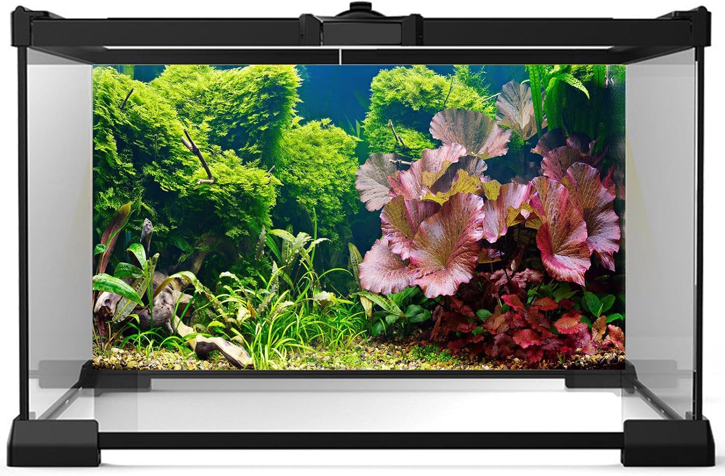 Aquarium Background Underwater Grass Leaves Pebble Aquarium Backdrop Vivid and Fresh Green Aquatic Plant Background Stone River Bed DeadWood Purple Leaves Tank Background Decor Vinyl 72x24in