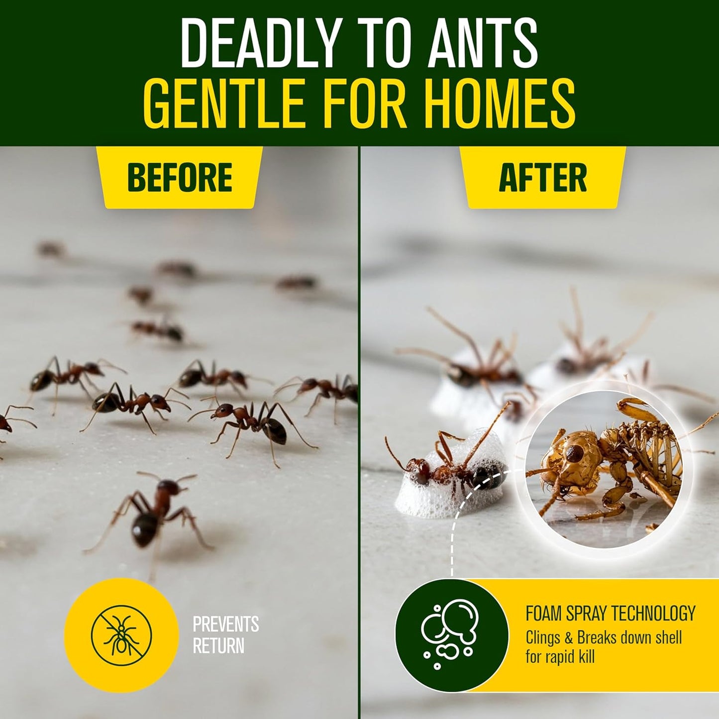 Green Guard Pest Control Spray - Indoor & Outdoor Killer of Ants, Roaches, Spiders & Other Crawling Insects, Safe Around Children & Pets, Plant-Based, Pleasant Scent (Citro Force, 32oz)